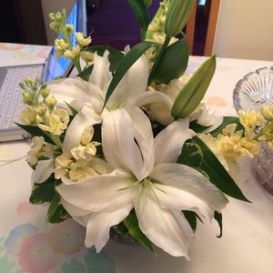 Meet your Posher, Jeanne